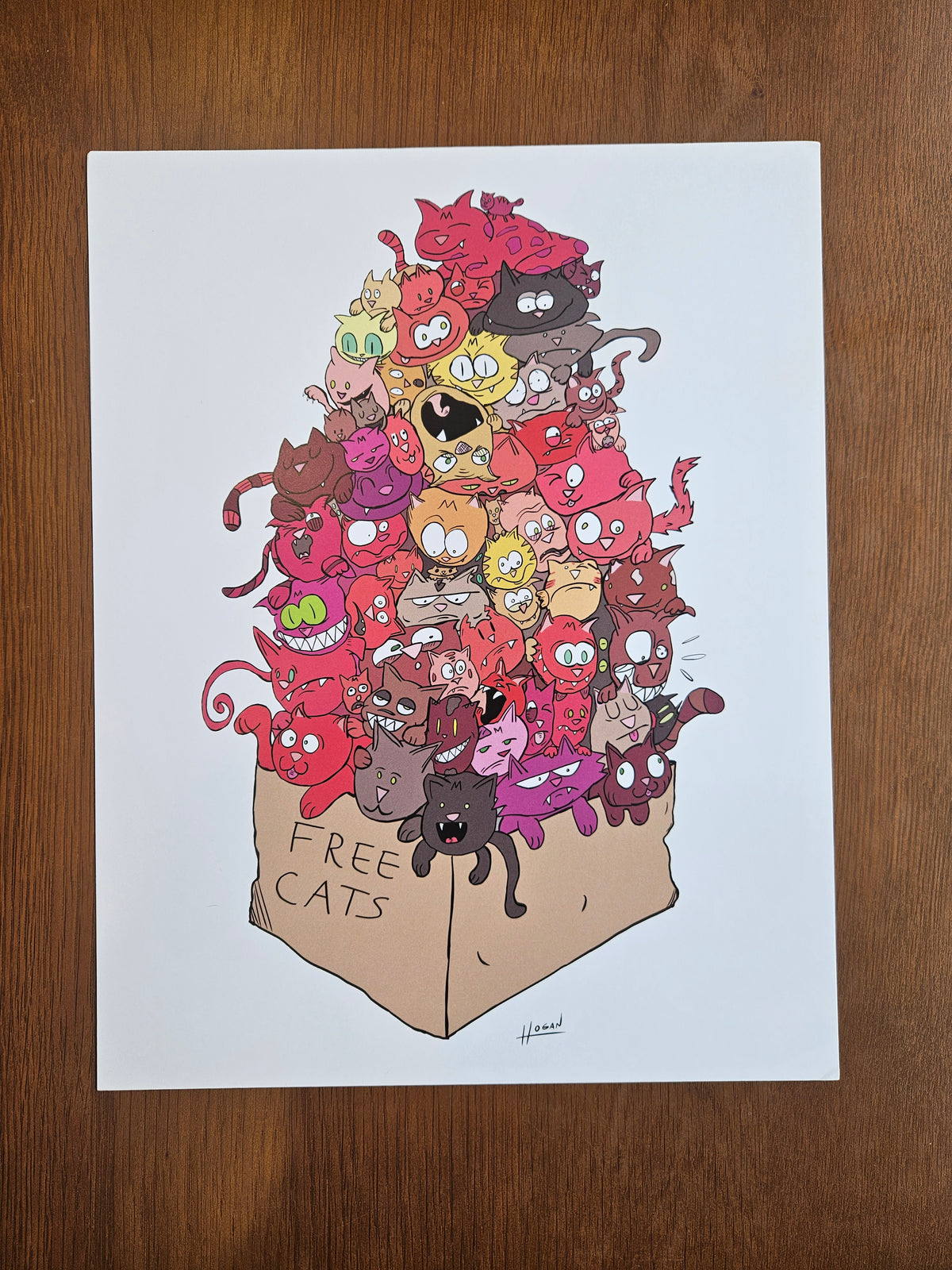 Free Cats in Box 11x14