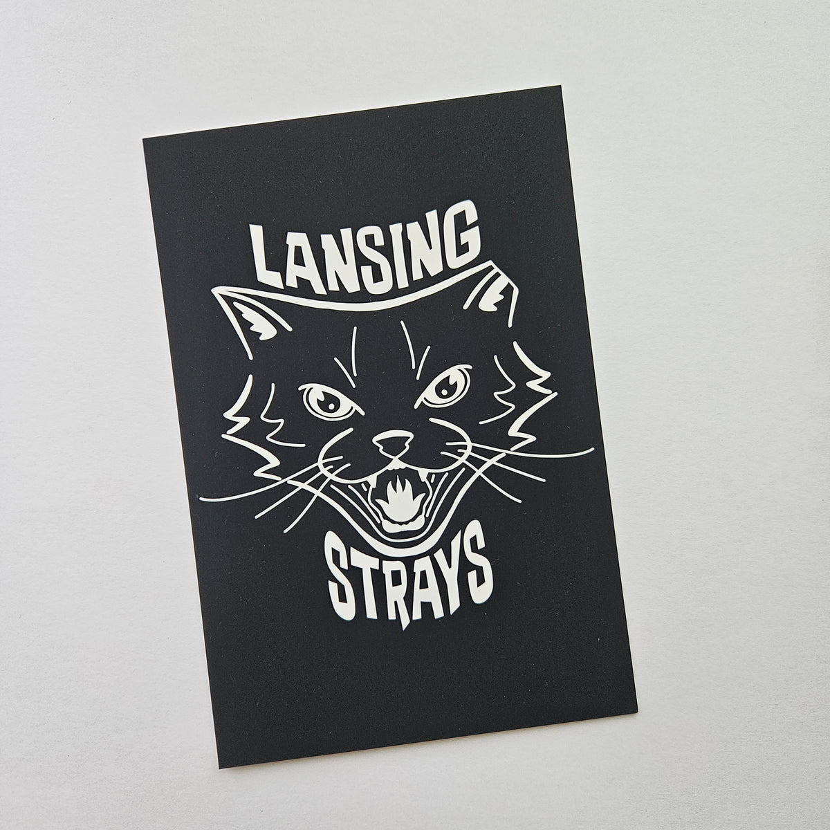 Lansing Strays -Postcard