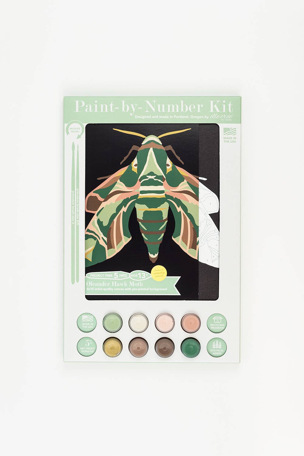 Oleander Hawk Moth Paint-by-Number Kit