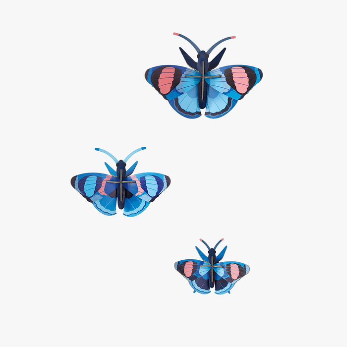 Peacock Butterflies, set of 3