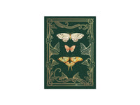 Flutter Pop-Up Card with Butterflies and Moths