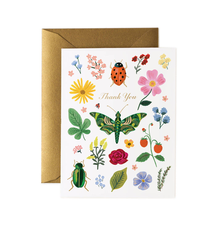 Curio Thank You Card