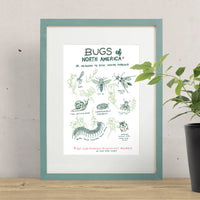 Bugs of North America Print