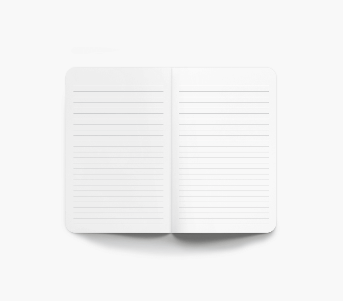 Variegated Vectors Layflat Notebook