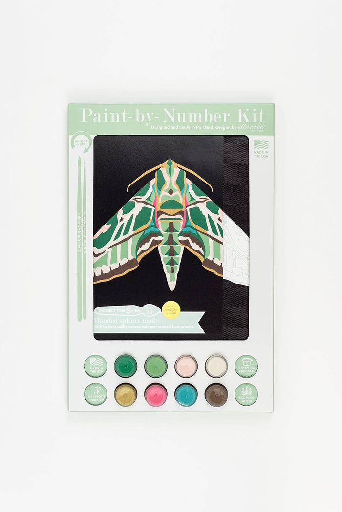 Banded Sphinx Moth Paint-by-Number Kit