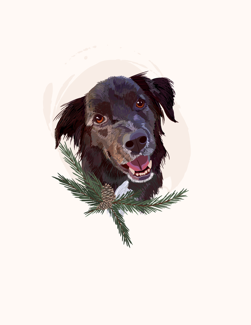 Custom Pet Portrait