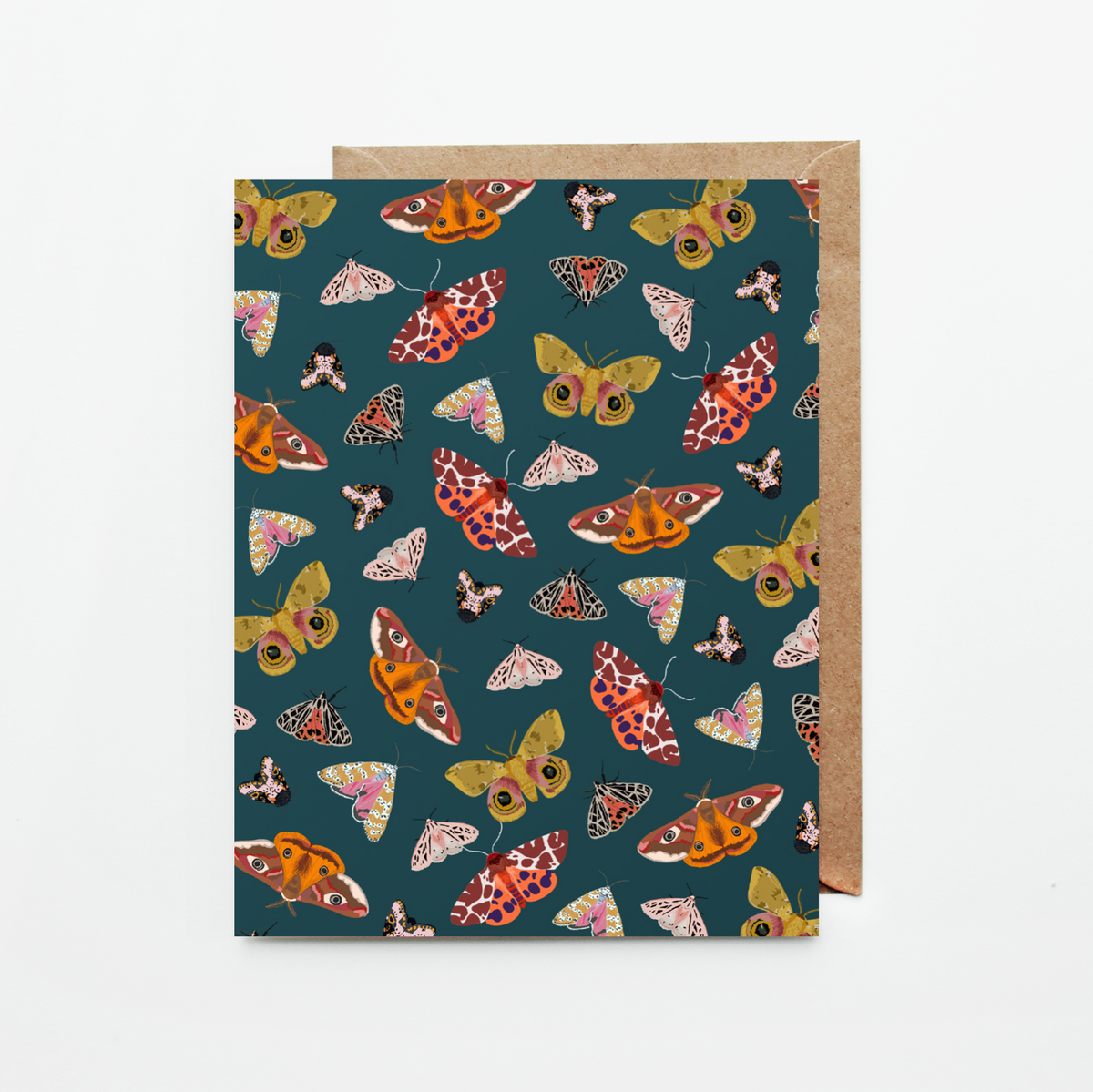 moth pattern sara pulver dear ollie